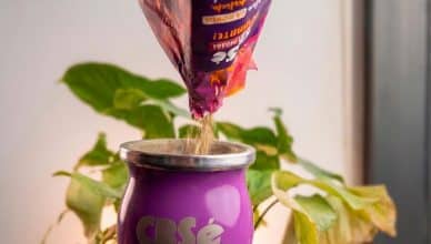 CBSé lanza yerba mate Chocolate Dubái y Mango Picante: las tendencias mundiales llegan al mate