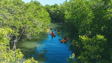 7 parques nacionales de Brasil