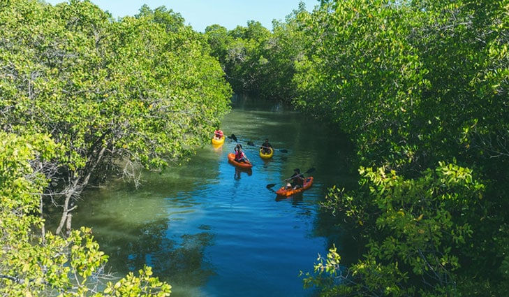 7 parques nacionales de Brasil
