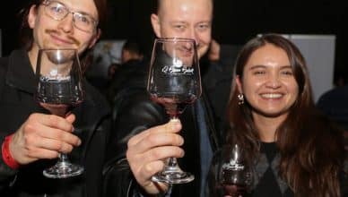 copa de vino