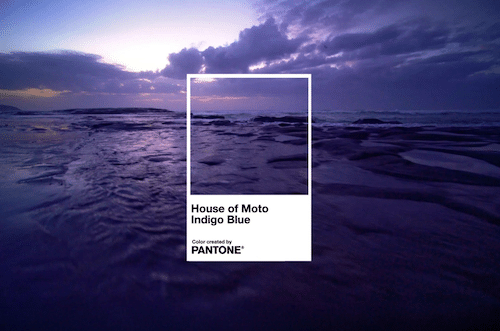 Motorola House of Moto Indigo